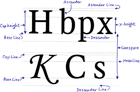 Anatomy of line with base line, x-height etc.