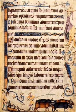 Gothic font in Latin manuscript